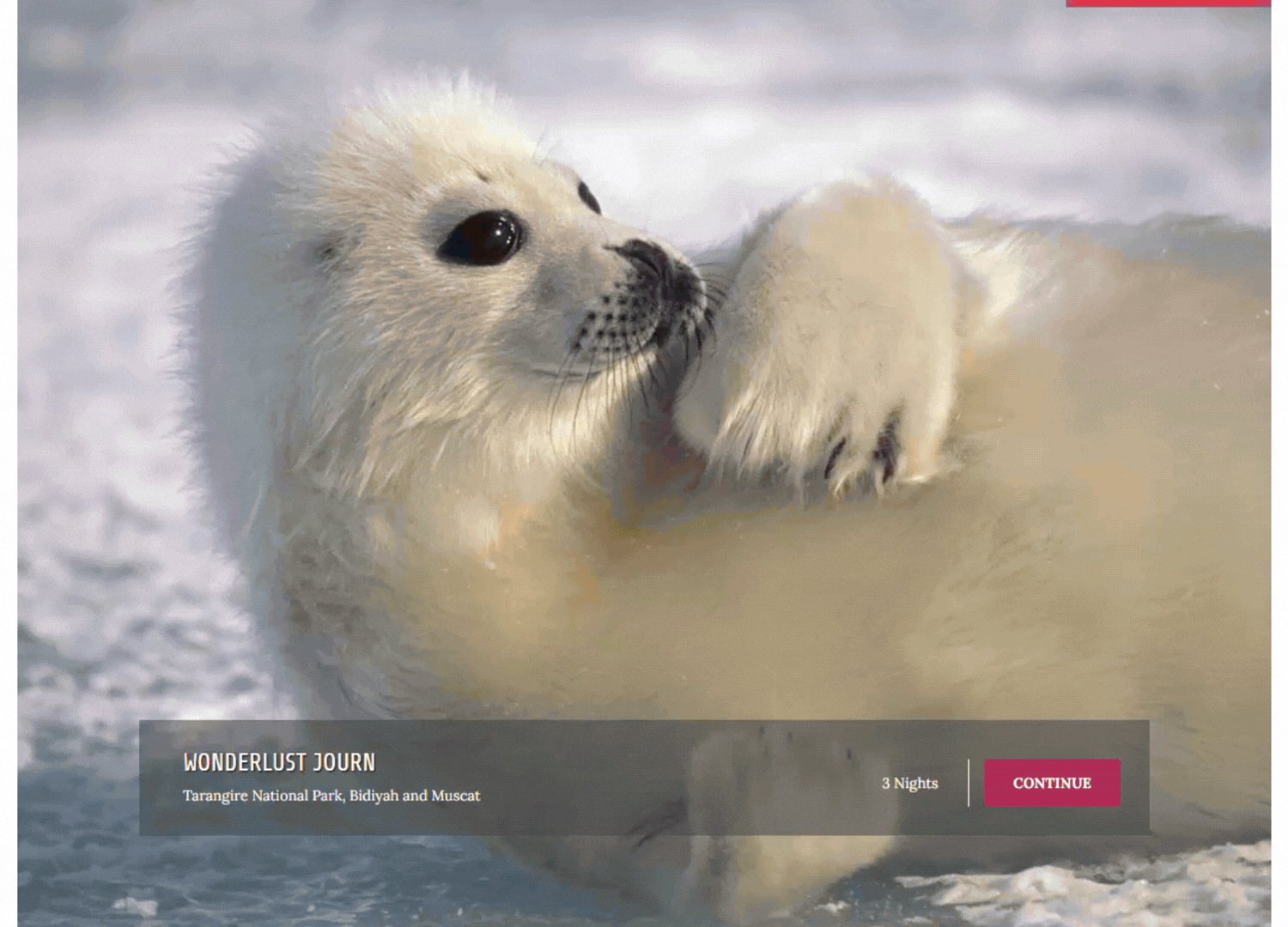 Digital itinerary About Us section displaying company description and Terms & Conditions